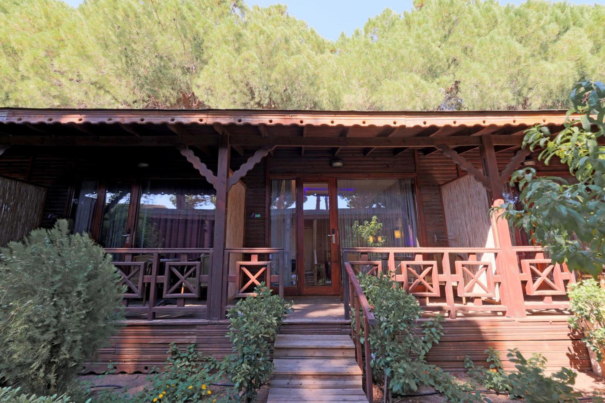 Flora Garden Beach Hotel - Adults Only 16 Plus - Couples Concept Kızılot Eksteriør billede